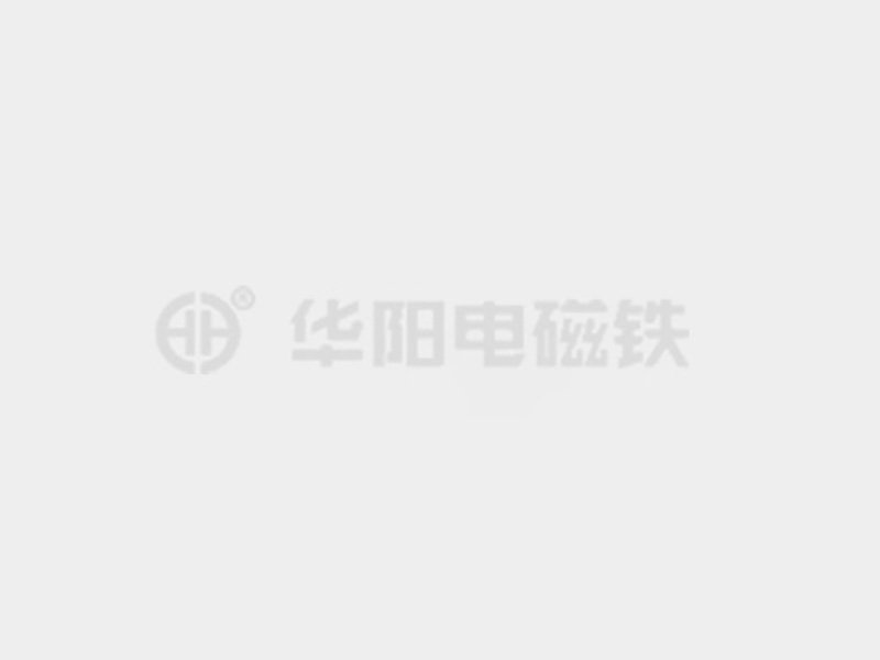 美女草XXⅩBBB防爆电磁铁的储存和维护较佳实践！